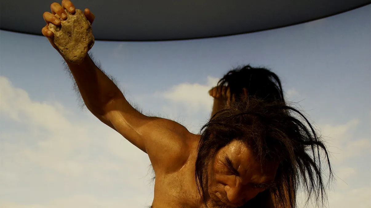 Cum s-a auto-domesticit omul și ce legătură are violența cu asta