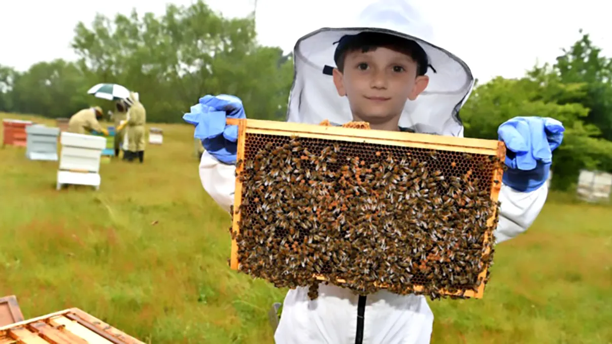 Cel mai tânăr apicultor certificat vrea să salveze albinele: câți ani are