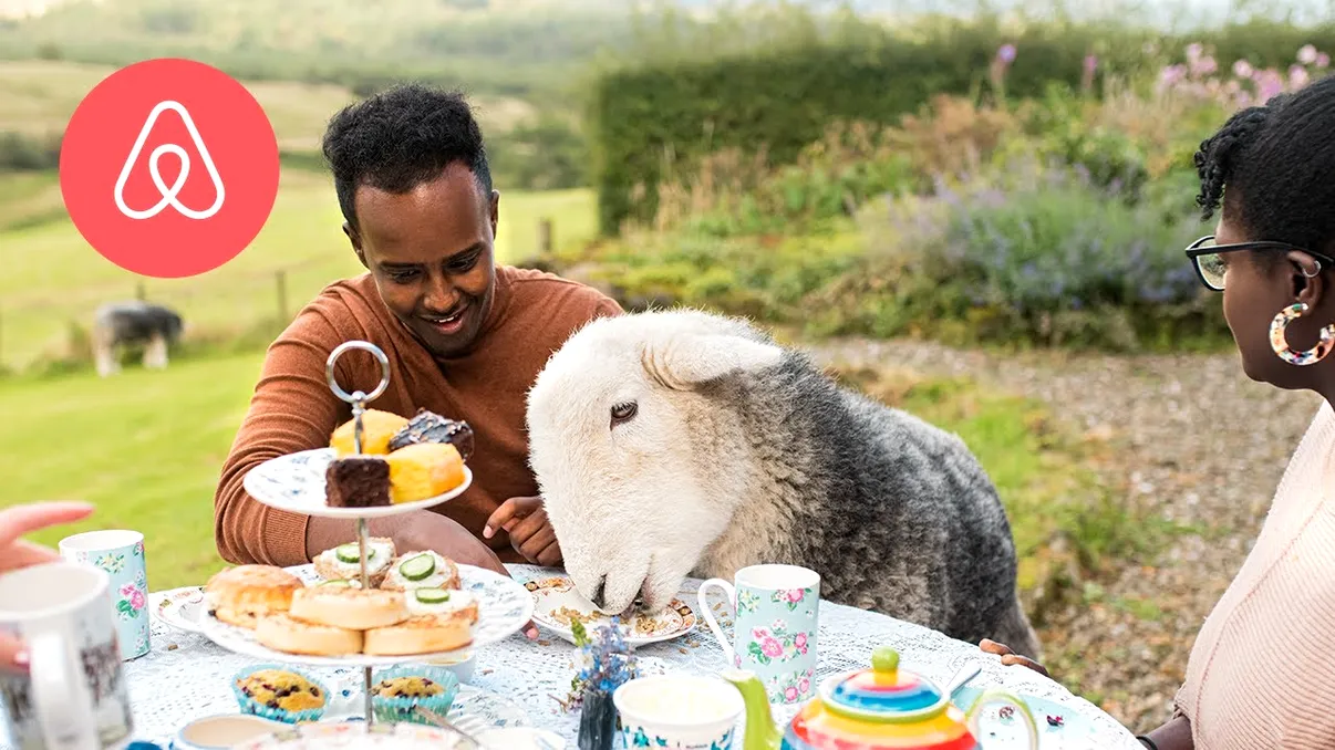 Airbnb revoluționează experiențele turistice în jurul momentelor cu animale
