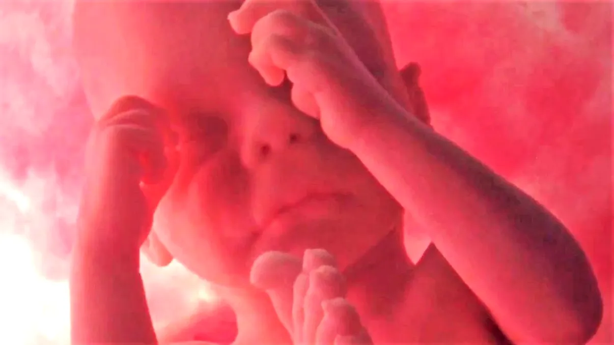 Controversatul experiment cu bebeluși modificați genetic, sancționat dur: ce a pățit autorul