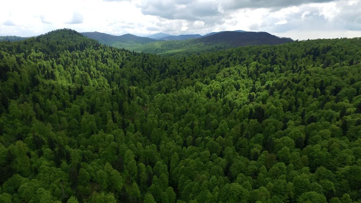 De ce The Guardian recomandă România ca destinație ideală de vizitat în 2020