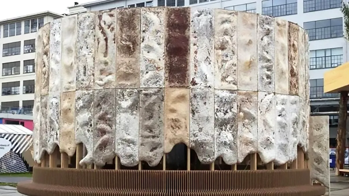 O clădire cu pereți din ciuperci îți arată viitorul construcțiilor: care sunt beneficiile și cum se face