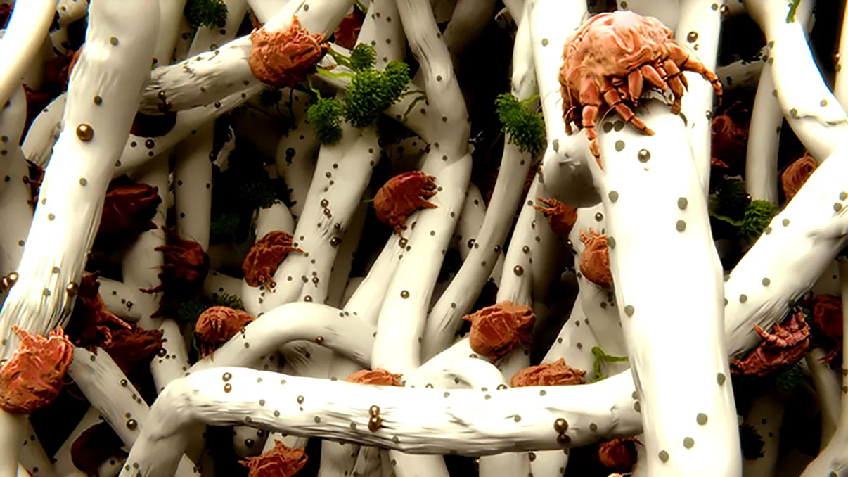 Ce se întâmplă dacă nu îți speli cearșafurile: avertismentul științific s-ar putea să te sperie