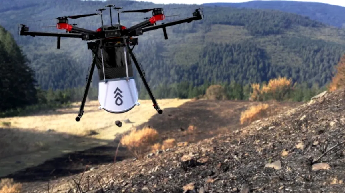 Dronele care vor planta un miliard de copaci: cum funcționează procedura 