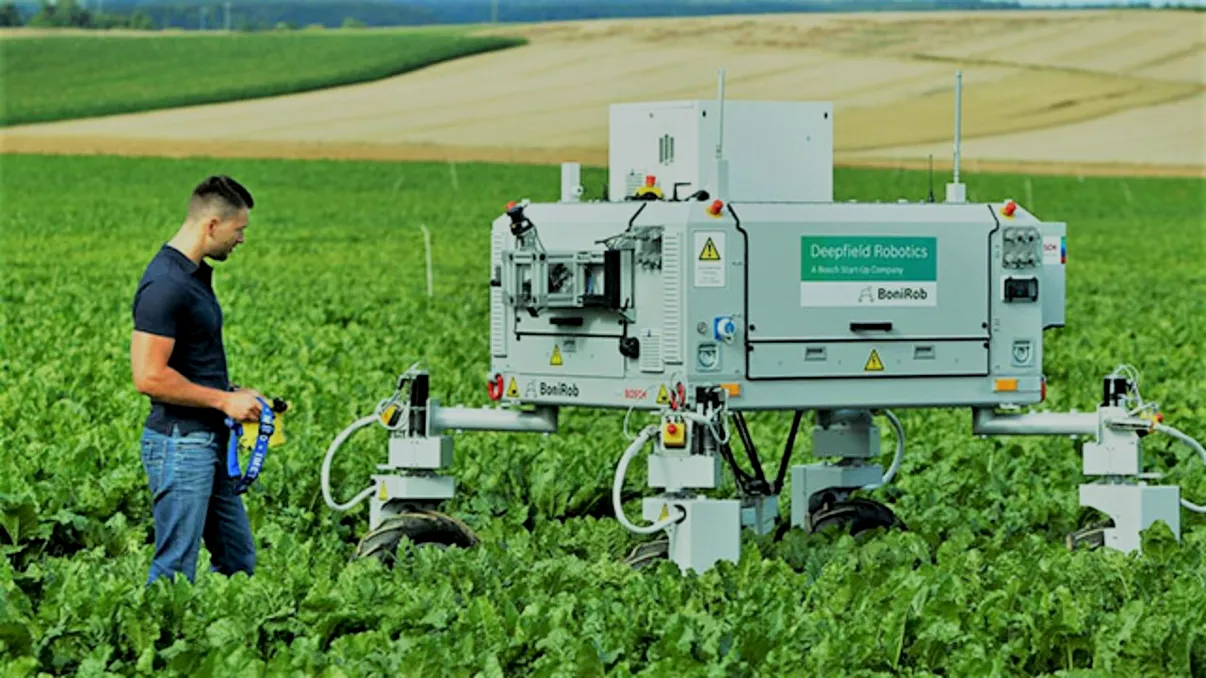 Domeniul care ar putea fi ținut în viață doar cu ajutorul roboților: în ce investesc masiv britanicii