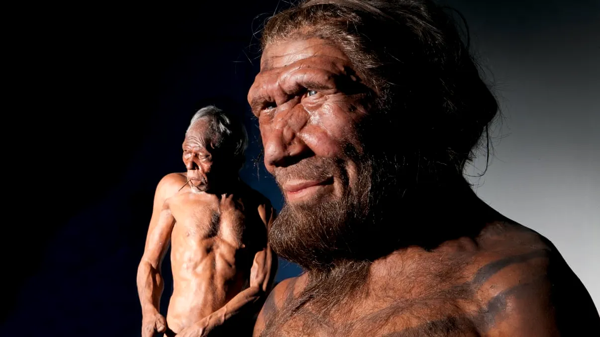 Legătura ciudată între neanderthalieni și boala care a paralizat acum planeta