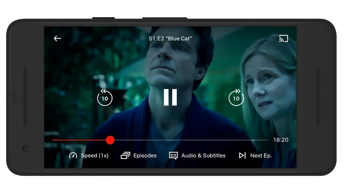 Netflix, Dedeman și Facebook 