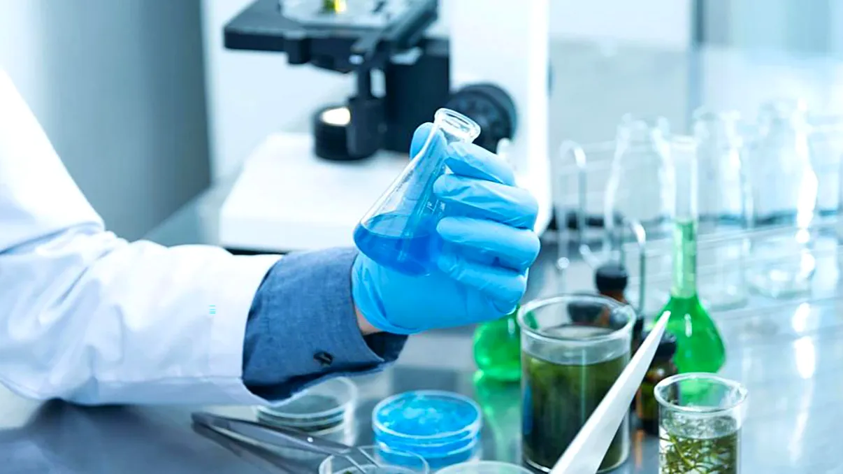 Ce sunt algele albastre și cum pot fi folosite ca să salveze lumea