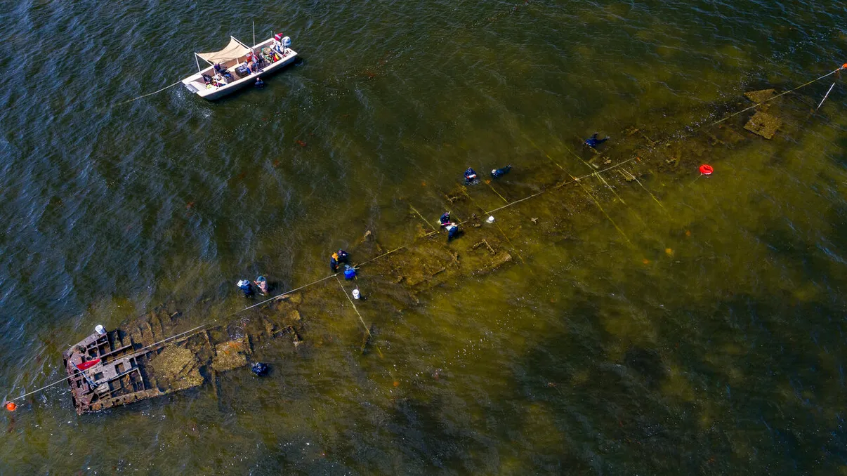 Cum se dezintegrează navele în apa de mare: aceste bacterii sunt „vinovate” de proces