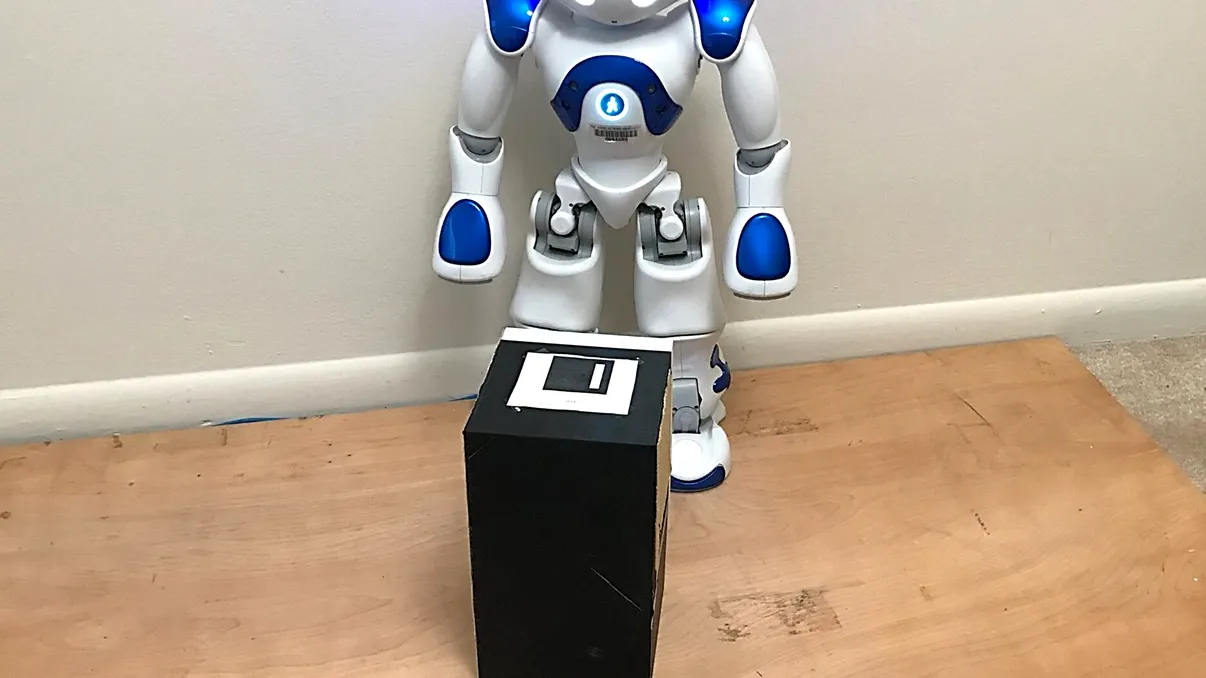Dacă această tehnică funcționează, un robot ar putea fi cel mai bun cărăuș