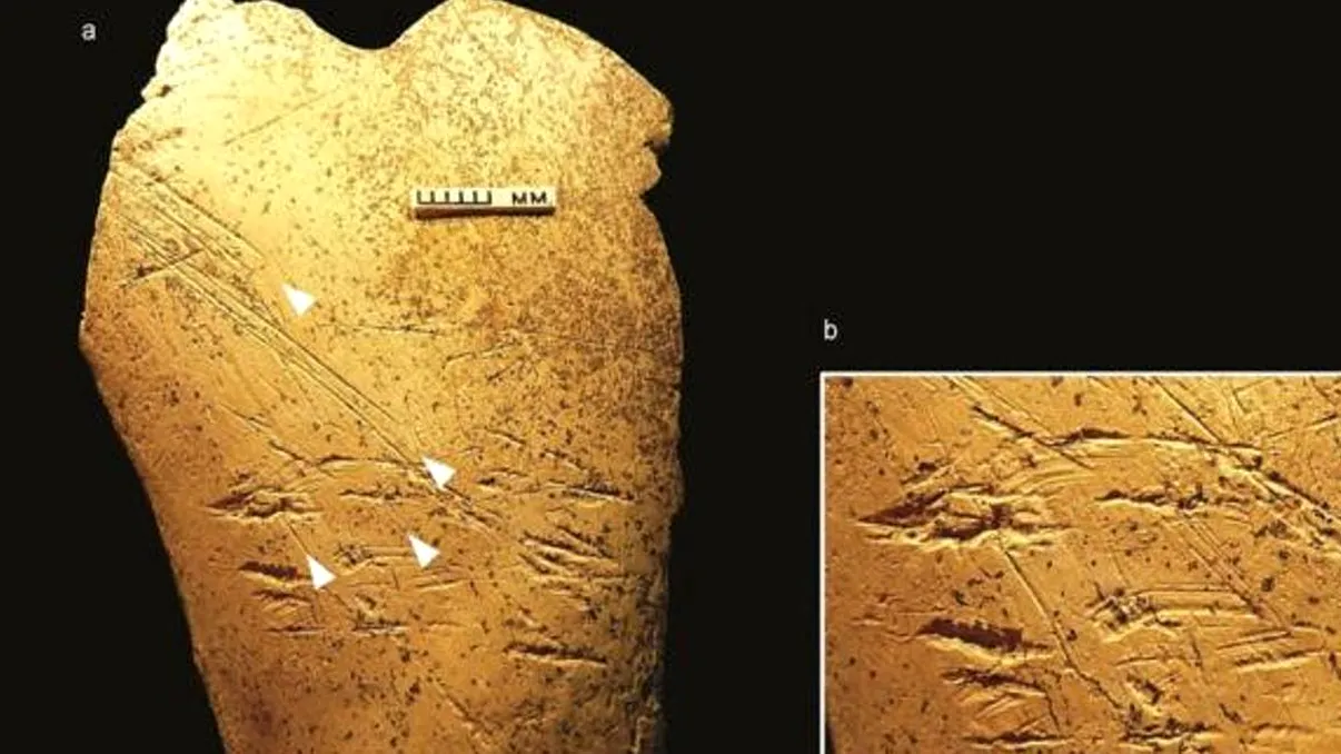 Care este cea mai veche civilizație de oameni și ce s-a aflat despre ea