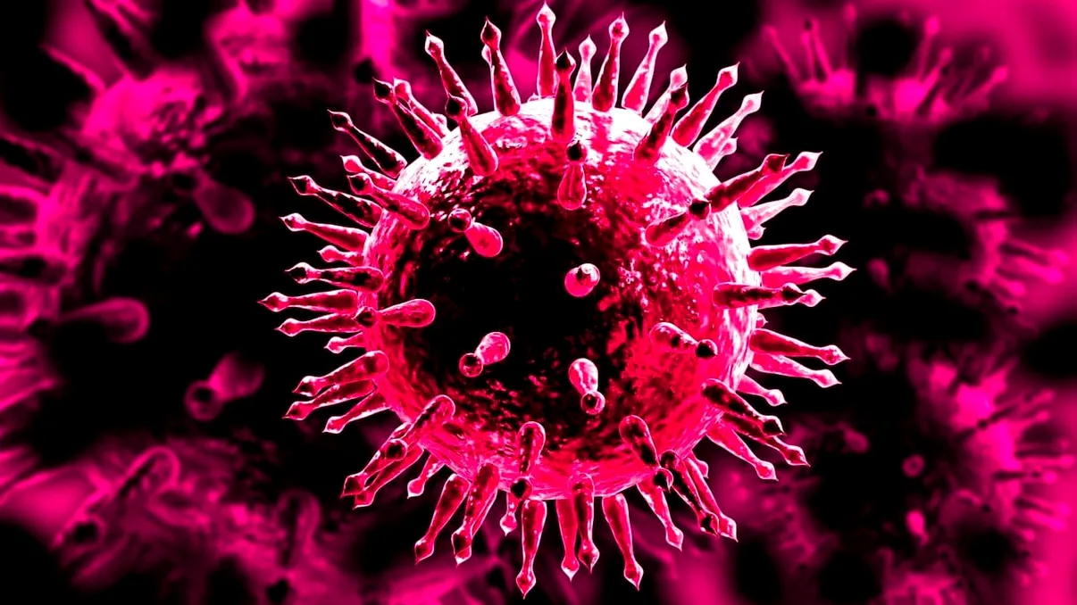 Momentul zero al unui nou val: cele două tulpini de COVID care au generat o versiune hibrid a virusului