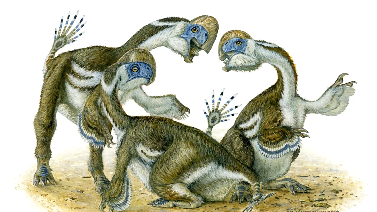 Au existat și dinozauri mai puțin fioroși: fără dinți și cu doar două degete