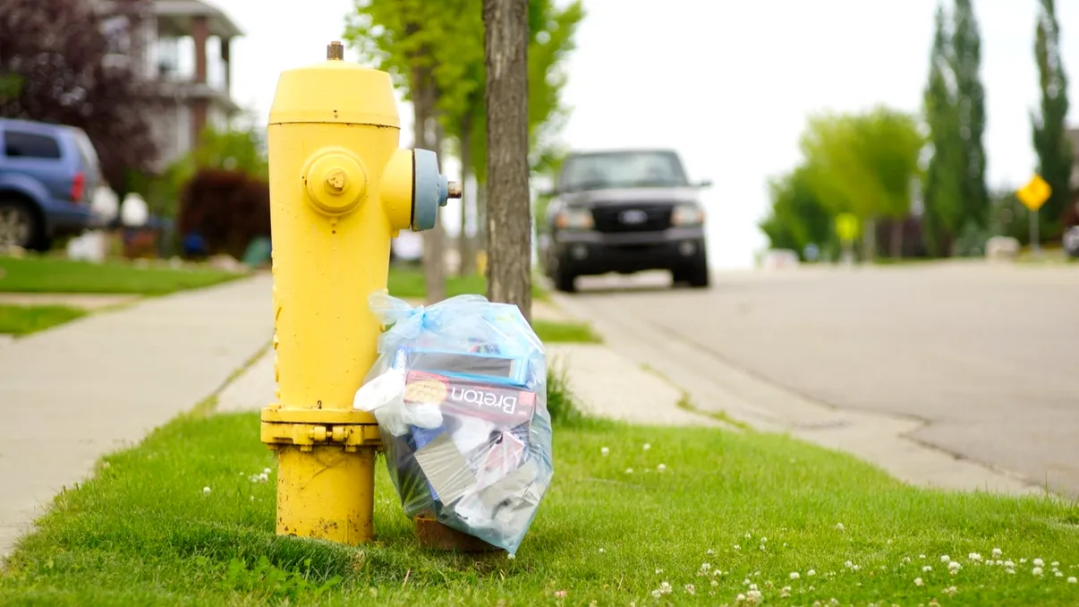 Prima platformă digitală de reciclare a deșeurilor pentru companiile din România