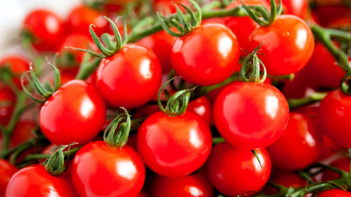 Cât de dulci sunt roșiile dulci: tocmai s-a încheiat campionatul mondial pe acest subiect