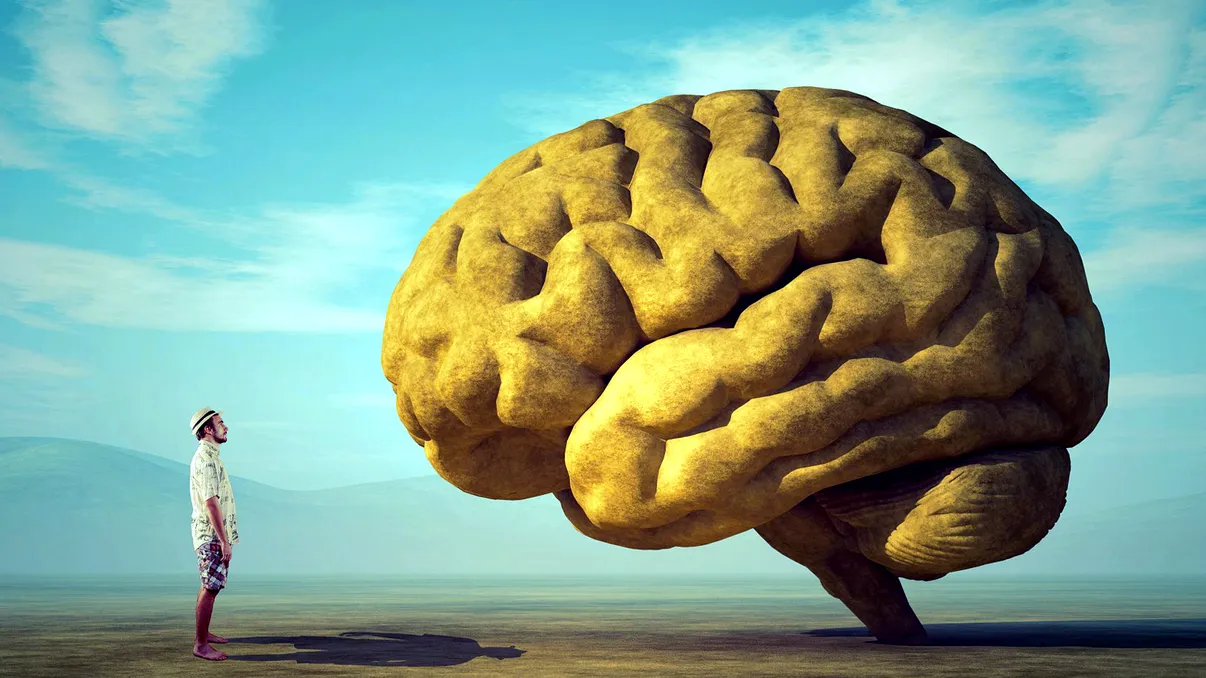 IQ-ul populației globului s-a schimbat: Suntem sau nu mai inteligenți?