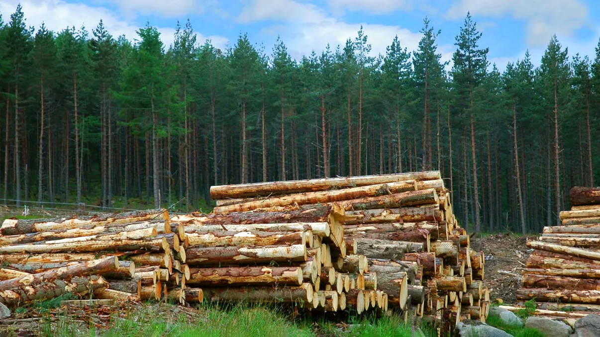 România, pe ultimul loc în Europa, din nou: la ce ne-am mai făcut de râs, acum