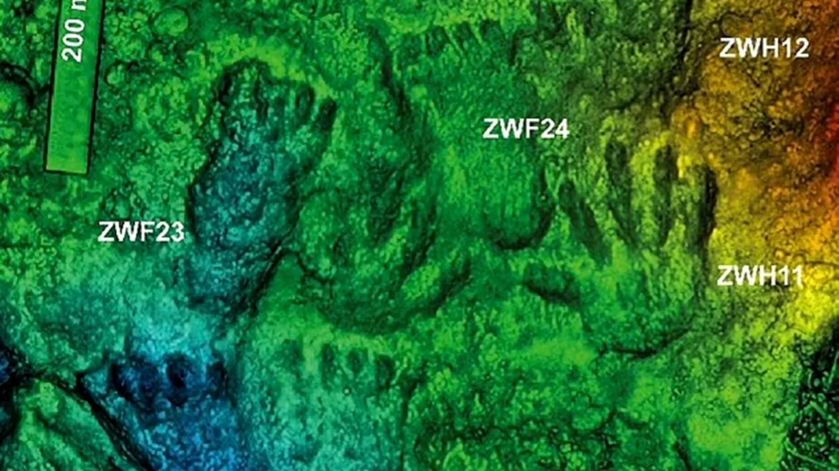 A fost descoperită cea mai veche operă de artă. Ce reprezintă ea