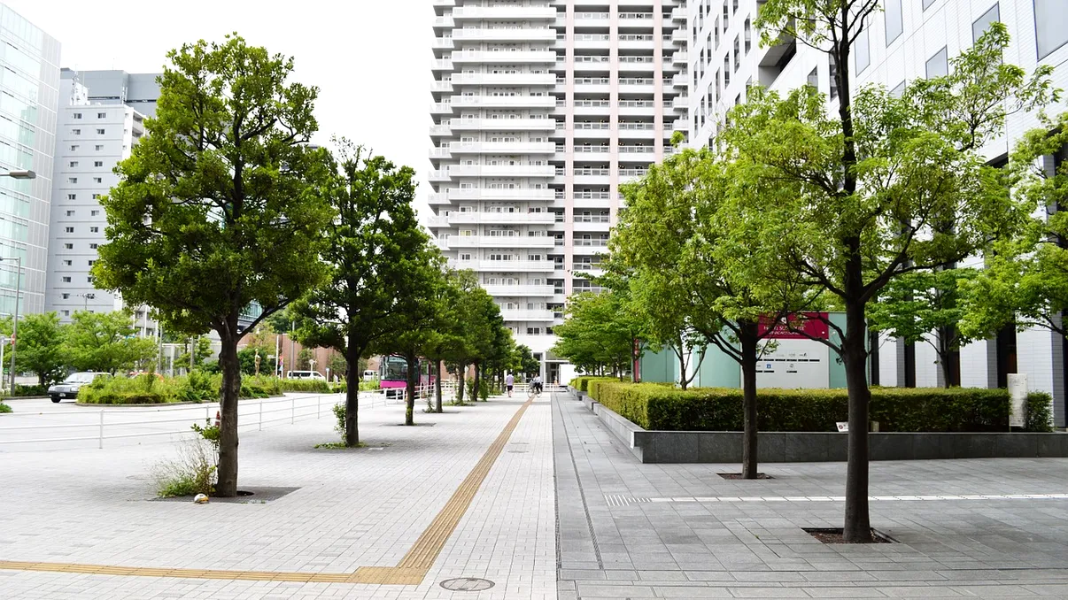 Ce trebuie să facem pentru atingerea neutralității climatice și cât timp mai avem până la colaps