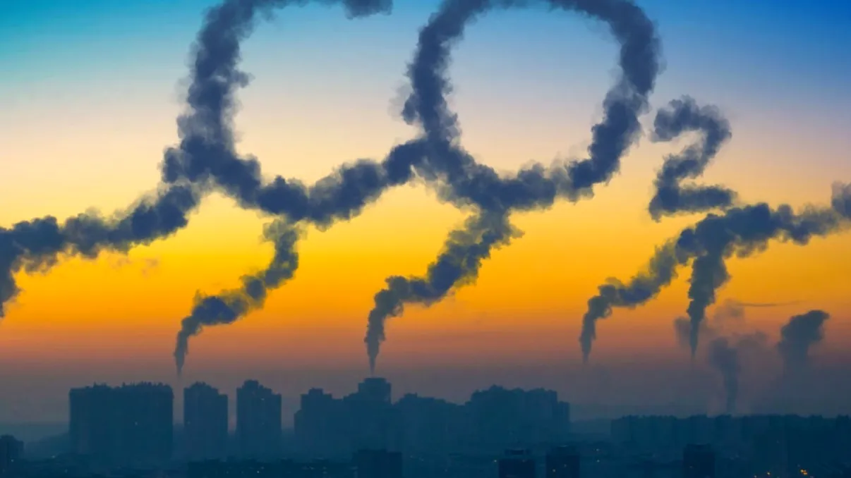 Schimbările climatice și comportamentul uman: cum ne influențează încălzirea globală achizițiile