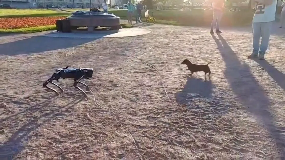 VIDEO Un câine se ceartă cu omologul său robot: cam ăsta va fi viitorul tehnologiei