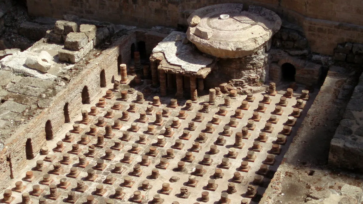 Unul dintre cei mai vechi arbori genealogici, refăcut în premieră mondială: ce s-a descoperit