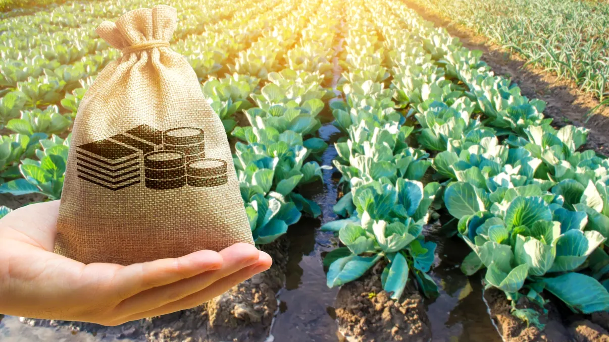 Se dau bani de la stat: cine beneficiază de ei și cum îi obții