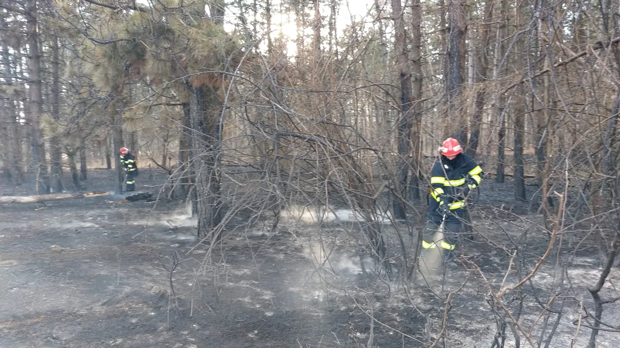 Accident aviatic în localitatea Buhoci de lângă Bacău. Echipajele nu au găsit nicio aeronavă