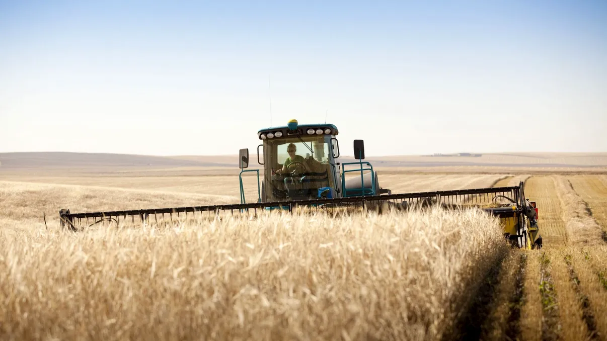 Exporturi de cereale din Ucraina, blocate la granița cu Polonia. România ar putea fi o rută alternativă
