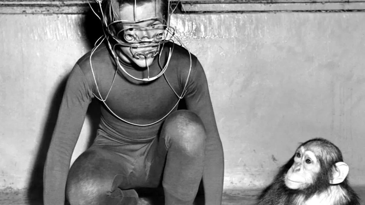 Cel mai periculos animal din lume nu e nici pe departe ce te-ai aștepta