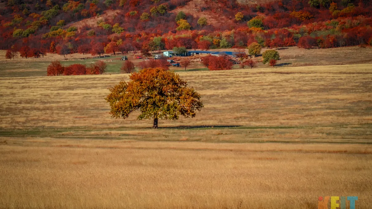 Câteva trucuri simple pentru fotografii reușite: ce-am învățat, de-a lungul timpului, din greșeli