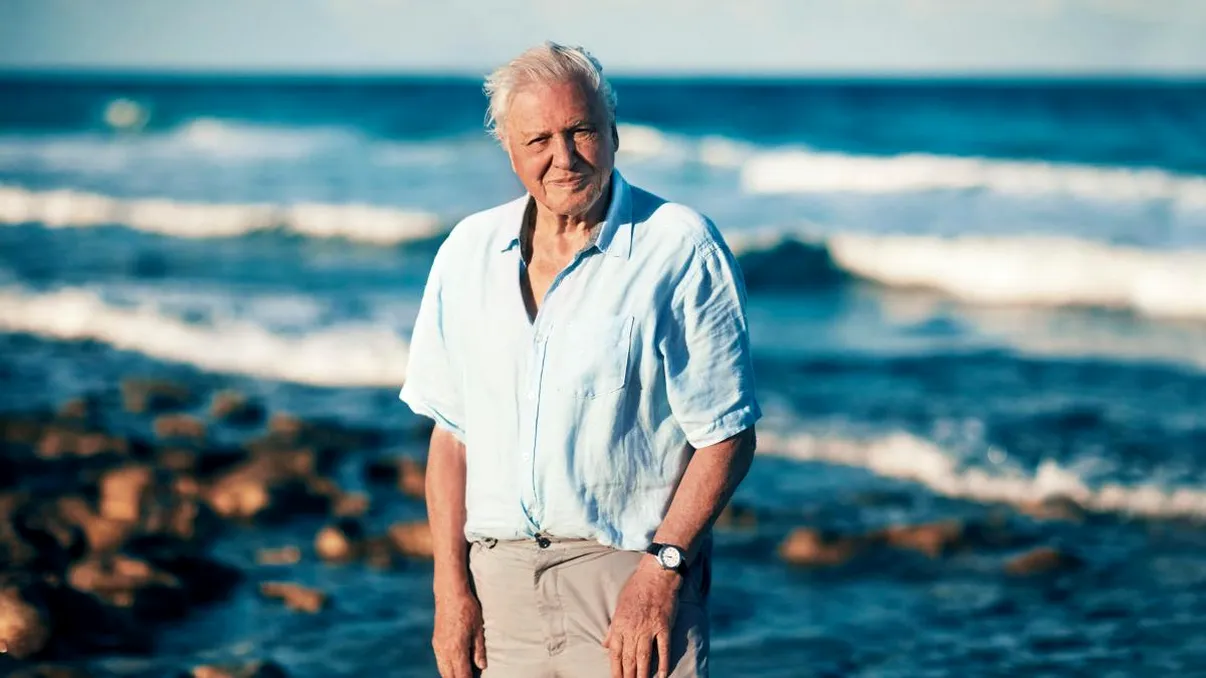 Top 15 cele mai bune documentare realizate de Sir David Attenborough: adevărate lecții despre natură și schimbările climatice