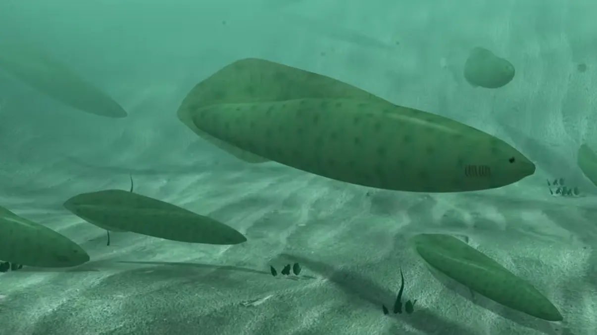 Când a trăit primul pește pe Pământ: cum au calculat oamenii de știință exact momentul