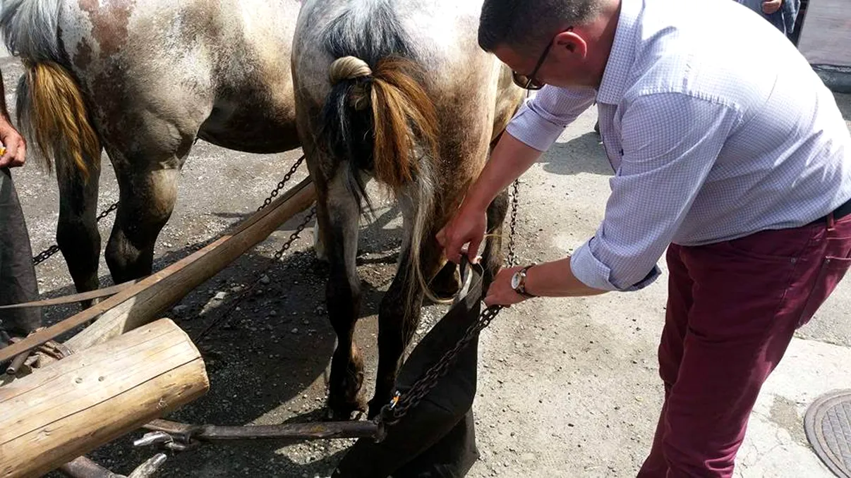 Românii care au bălegar la țară au dat lovitura: comoara din fundul curții te scoate din sărăcie