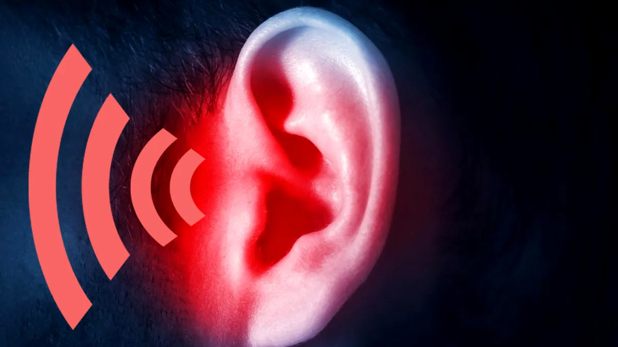 Cum funcționează auzul la oameni: ultima descoperire rezolvă unul din marile mistere ale anatomiei