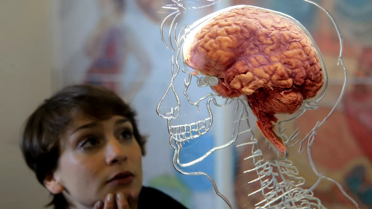 Obiceiul urât pe care îl au mulți oameni poate duce la demență și Alzheimer
