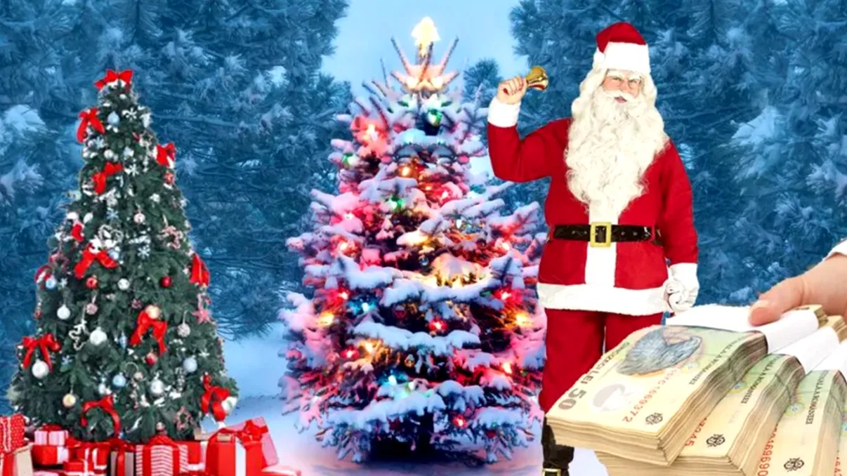 Cât te costă să-ți cumperi brad de Crăciun de la Romsilva: oferta e limitată și zici că le-a pus prețul Moș Crăciun