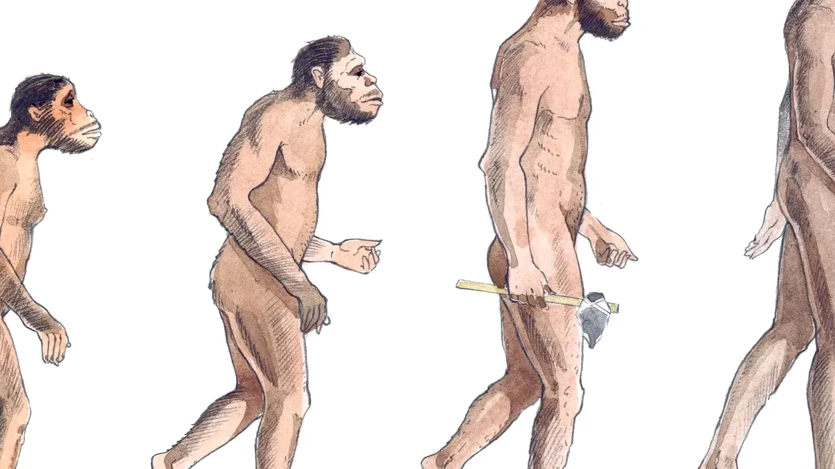 Oamenii încă sunt în evoluție: cercetătorii au descoperit 155 de noi gene