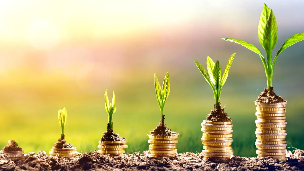 Informați-vă înainte de a investi!