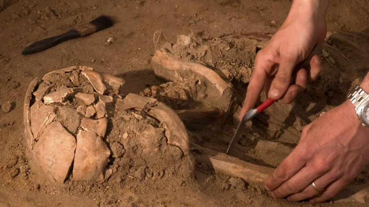 Descoperirea unică în Botoșani, veche de 3.000 de ani: ce au găsit oamenii de știință