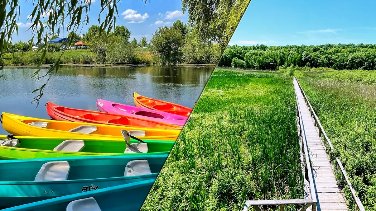 Locul din România care este unic, la câțiva kilometri de București. Comoara biodiversității, Delta Neajlovului