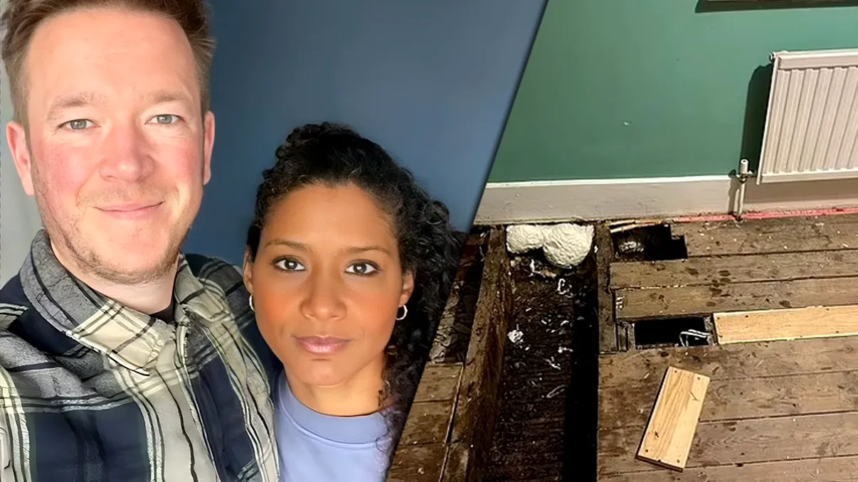 Descoperire șocantă făcută de un cuplu în propria casă. Din pereți se scurgea miere