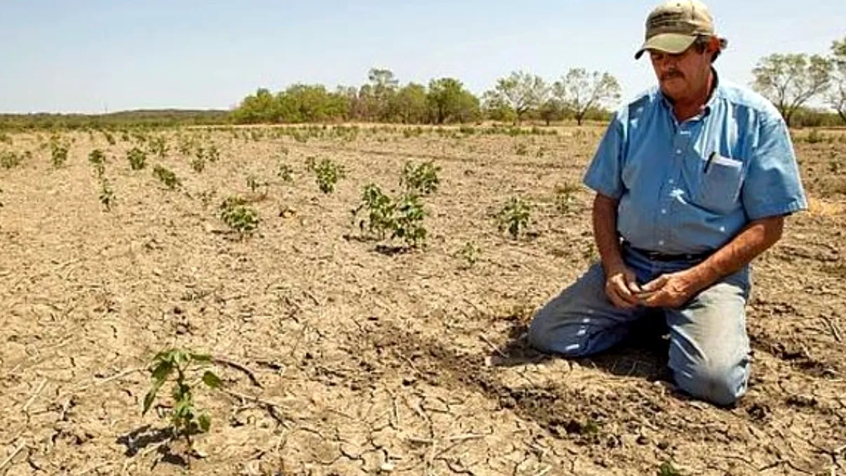 „Este pentru prima dată când această situație este atât de gravă”. Europa, măturată de secetă la sfârșitul iernii