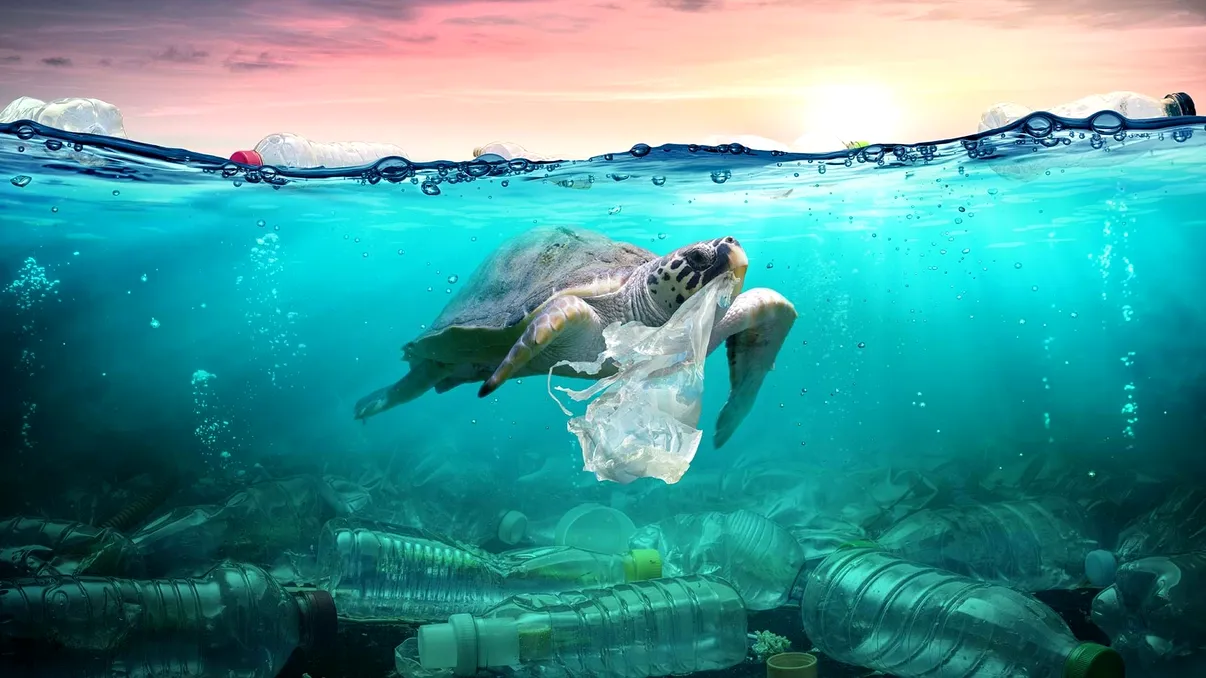 Poluarea oceanelor e la cote alarmante: peste 171 de trilioane de particule de plastic otrăvesc apele
