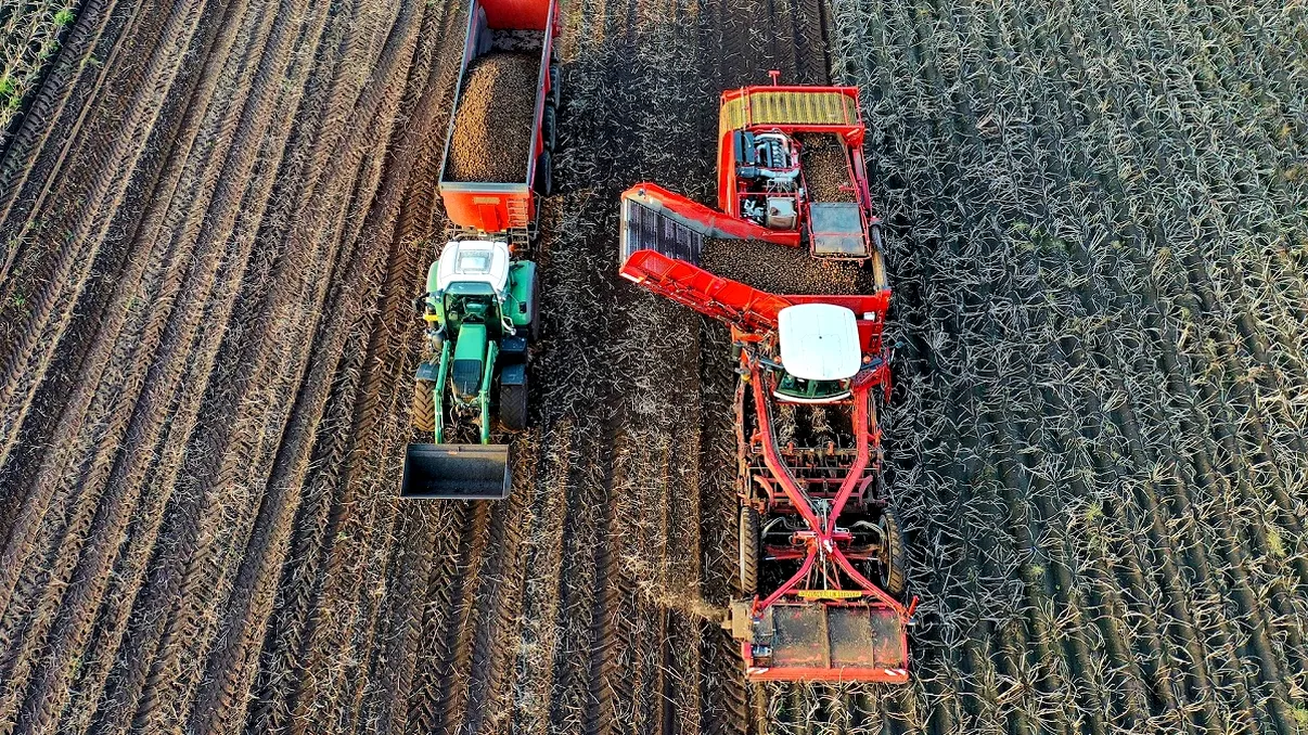 Soluția propusă de fermierii români pentru sectorul agroalimentar. Demisia lui Petre Daea, printre cererile lor