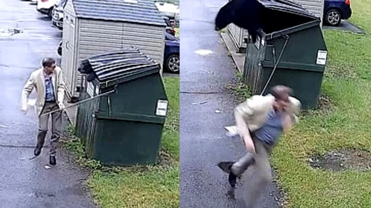 Directorul unei școli, surprins de un urs ascuns într-un tomberon. Momentul a fost filmat. Video