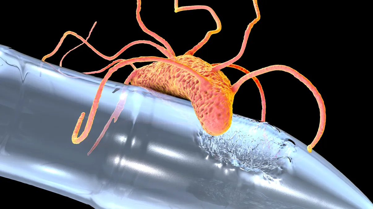 Pericolul din adâncuri: bacteria care ar putea să infecteze omenirea, legătura cu deșeurile din plastic