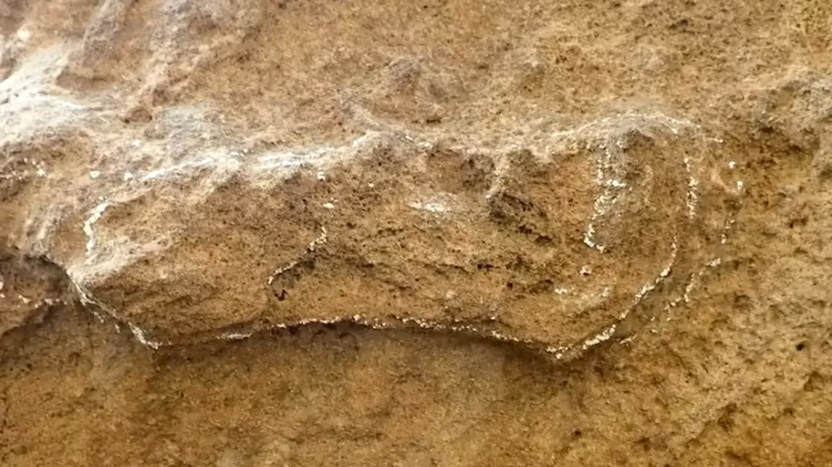 Descoperire fabuloasă a arheologilor: cele mai vechi dovezi ale lui Homo Sapiens