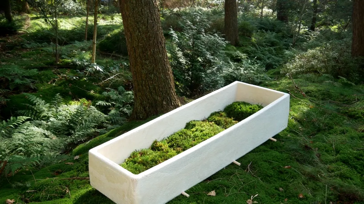 Sicriul ecologic și ieftin: compania care vrea să te odihnești în 