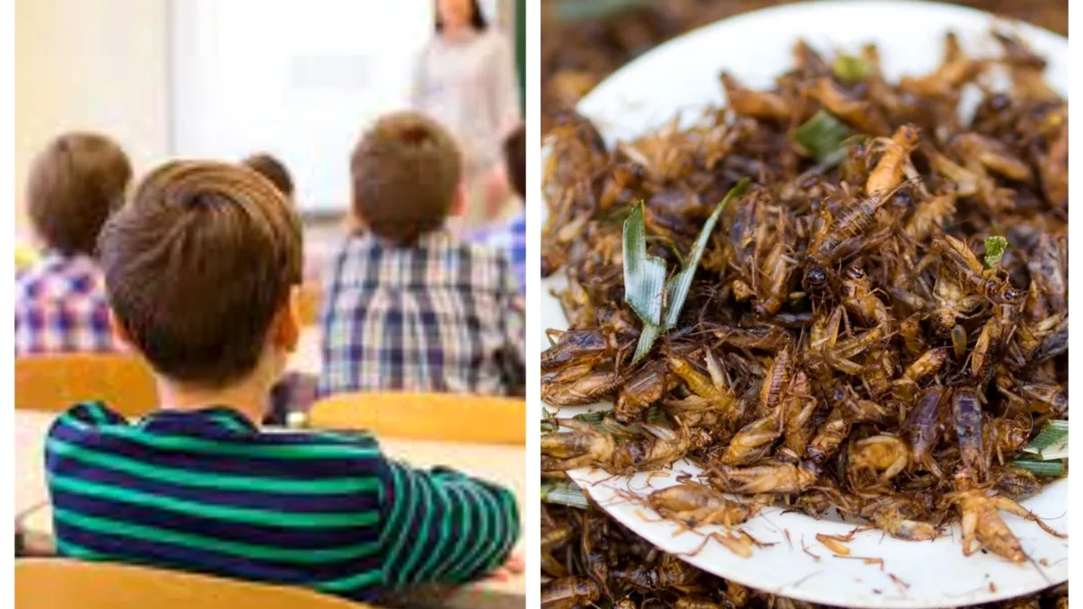 O profesoară le-a dat elevilor să guste gândaci, ca parte a unui proiect. Ce i-a spus unei fete care a refuzat-o